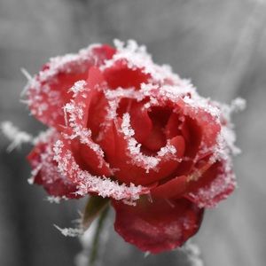 Meet your Posher, Salisha